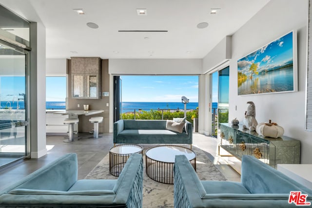 living room with a wealth of natural light