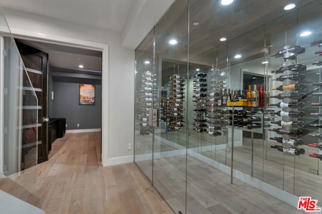 wine area featuring wood-type flooring