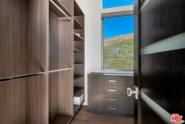 walk in closet featuring hardwood / wood-style floors