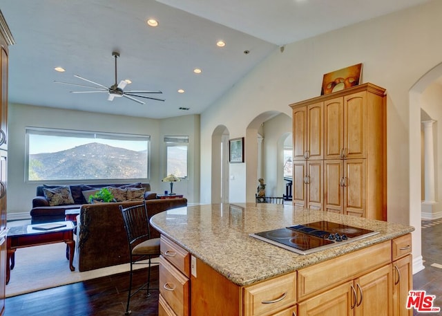 kitchen with electric cooktop, a mountain view, dark hardwood / wood-style flooring, and light stone countertops