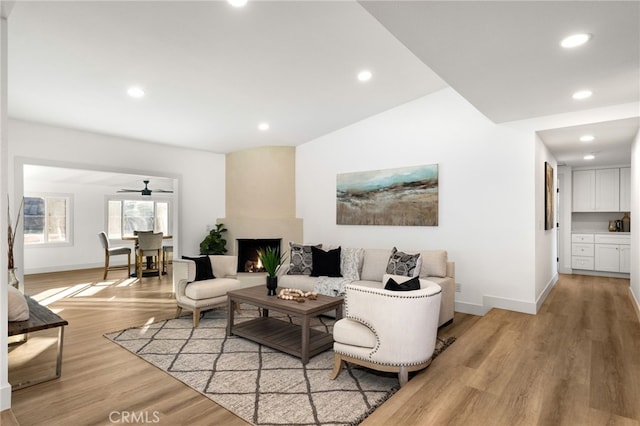 living room with a large fireplace and light hardwood / wood-style flooring