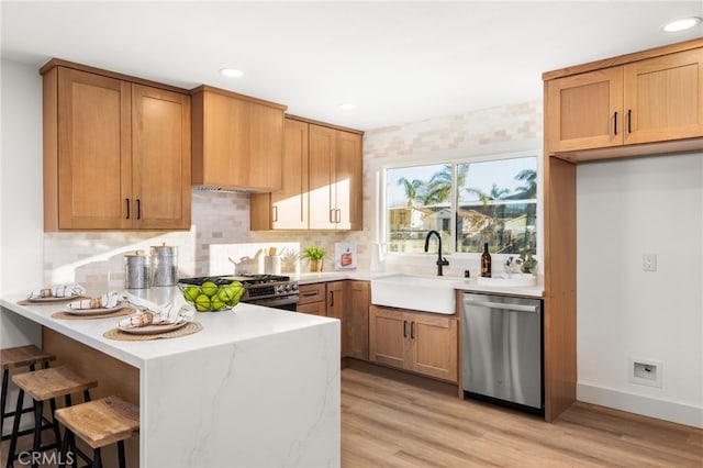 kitchen with light hardwood / wood-style floors, tasteful backsplash, premium range hood, sink, and stainless steel appliances