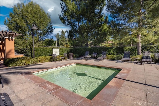 view of swimming pool with a patio