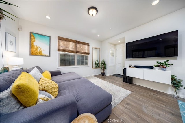 living room with hardwood / wood-style flooring