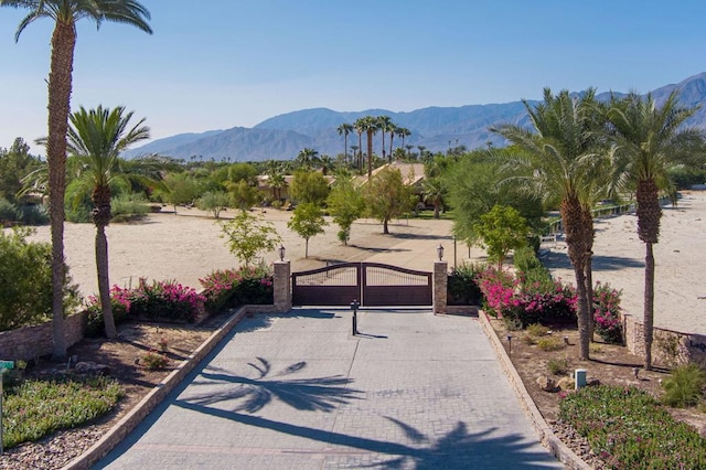 view of home's community featuring a mountain view