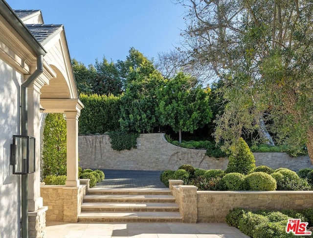 view of yard with a patio