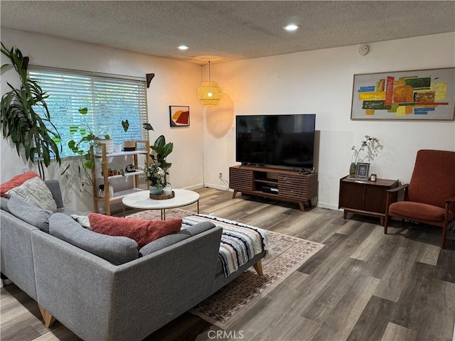 living room featuring hardwood / wood-style floors and a textured ceiling