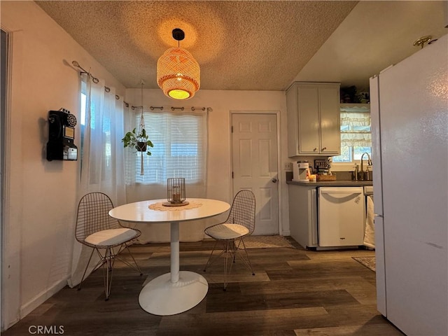 dining room with sink, a textured ceiling, and dark hardwood / wood-style flooring