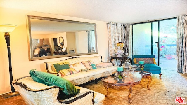 carpeted living room featuring expansive windows