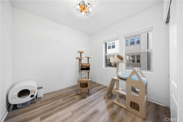 miscellaneous room with hardwood / wood-style floors