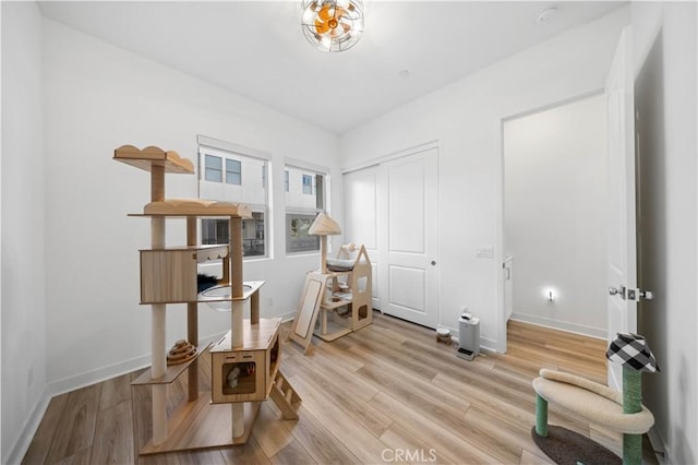 sitting room featuring light hardwood / wood-style floors