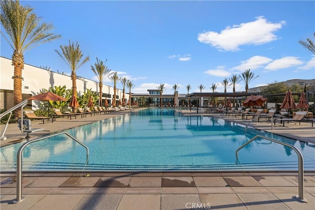 view of pool featuring a patio area