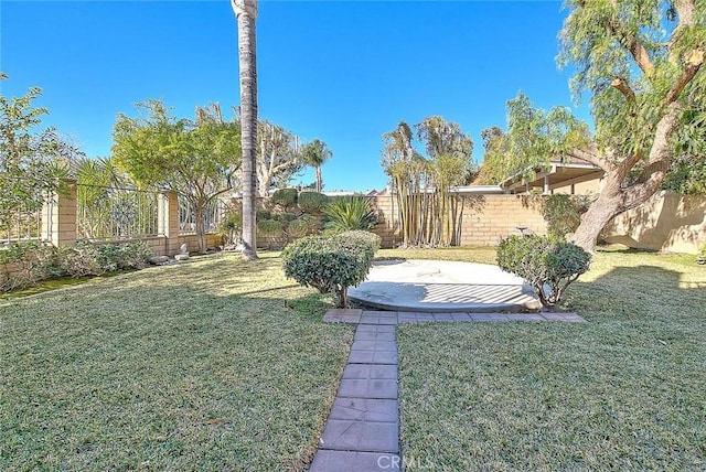 view of yard with a patio