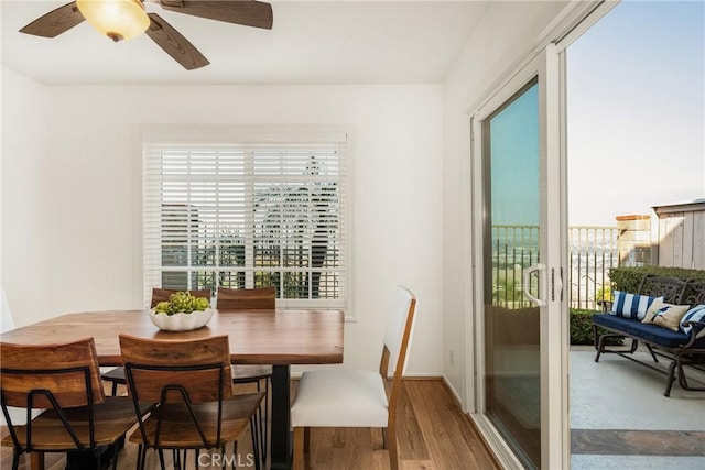 dining room featuring ceiling fan and hardwood / wood-style floors