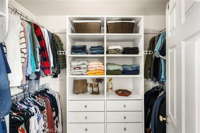 view of spacious closet