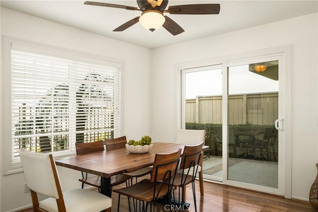 dining area with ceiling fan and hardwood / wood-style floors