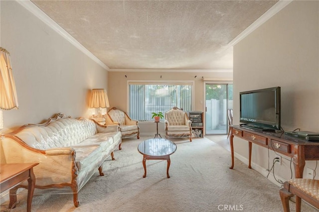 carpeted living room with ornamental molding and a textured ceiling