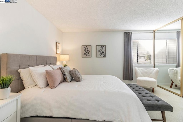 bedroom featuring carpet and a textured ceiling