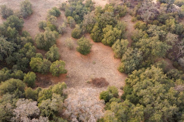 aerial view with a wooded view