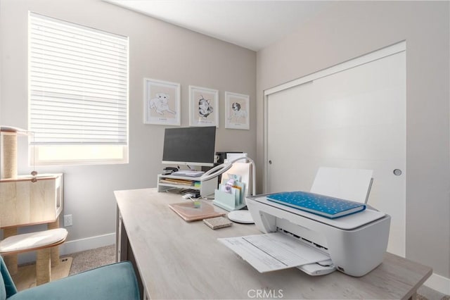 office with carpet flooring