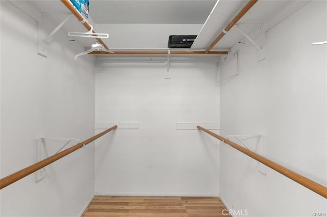 walk in closet with light hardwood / wood-style flooring