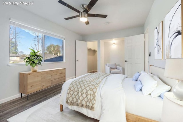 bedroom with hardwood / wood-style flooring, a spacious closet, and ceiling fan