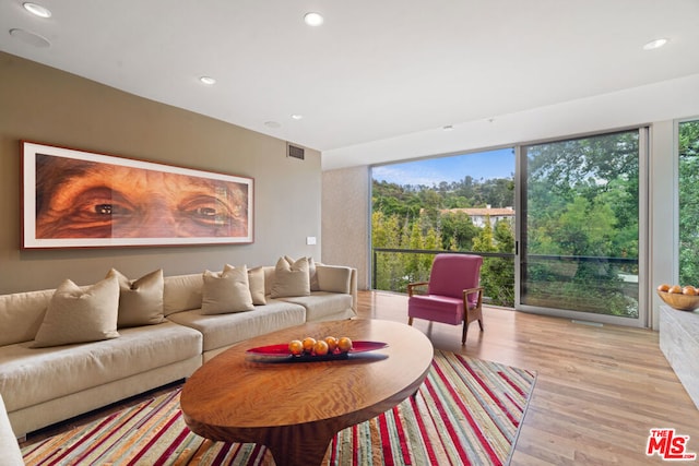 living room featuring light wood-type flooring and a wealth of natural light