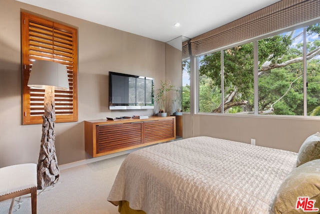 carpeted bedroom featuring multiple windows