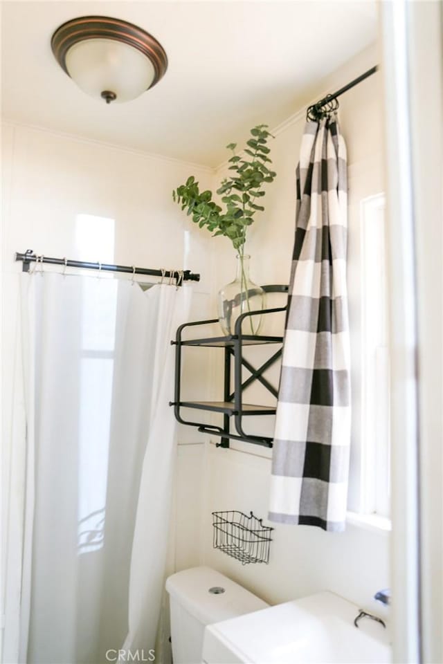 bathroom featuring toilet and ornamental molding