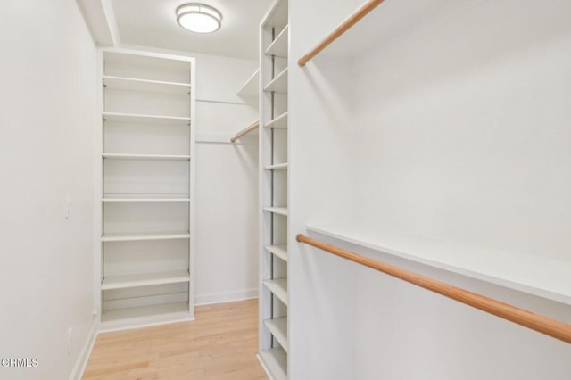 spacious closet featuring light wood-type flooring