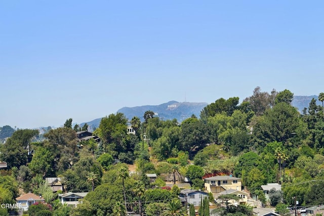 mountain view