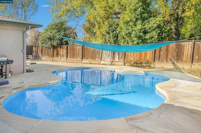 view of pool with area for grilling and a patio area