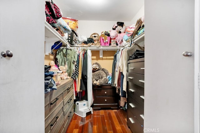 walk in closet featuring dark hardwood / wood-style floors