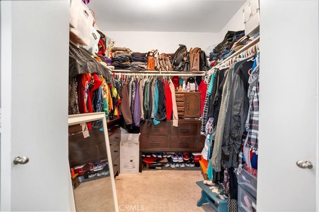 walk in closet featuring carpet flooring