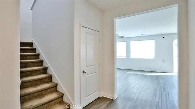 stairway featuring hardwood / wood-style flooring