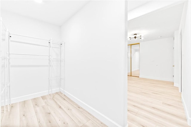 spacious closet with light hardwood / wood-style flooring