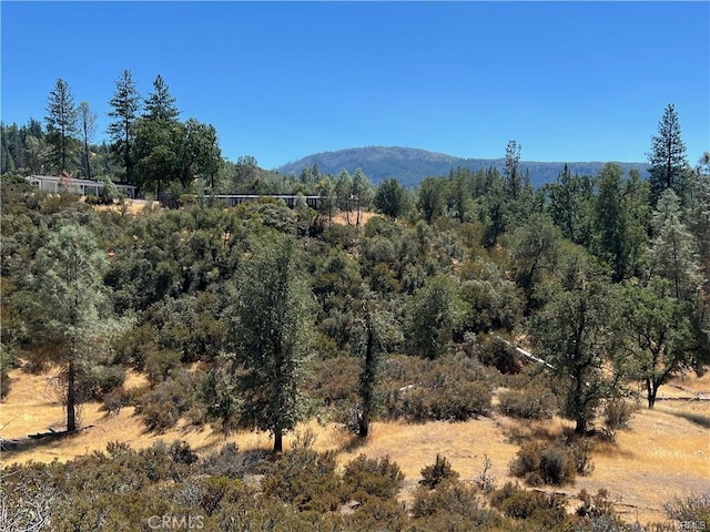 8360 Sulphur Creek Rd, Loch Lomond, CA 95461 - photo 7