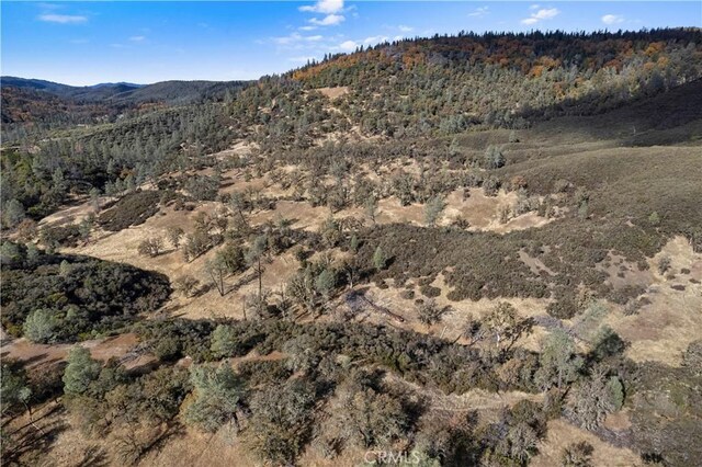 8360 Sulphur Creek Rd, Loch Lomond, CA 95461 - photo 6