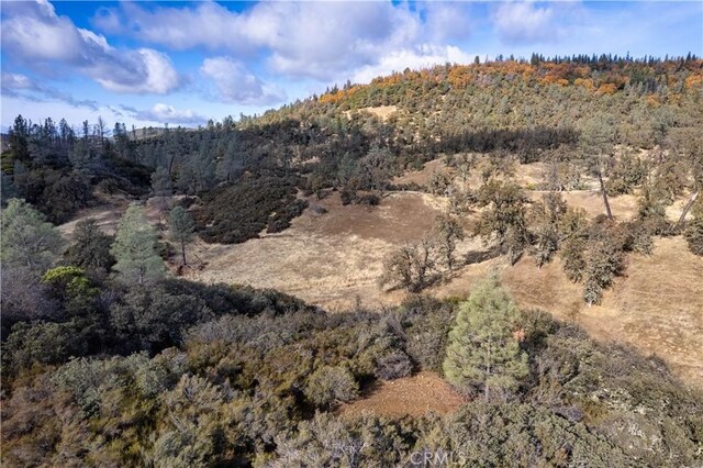 8360 Sulphur Creek Rd, Loch Lomond, CA 95461 - photo 5