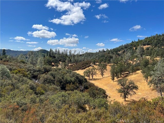 8360 Sulphur Creek Rd, Loch Lomond, CA 95461 - photo 8