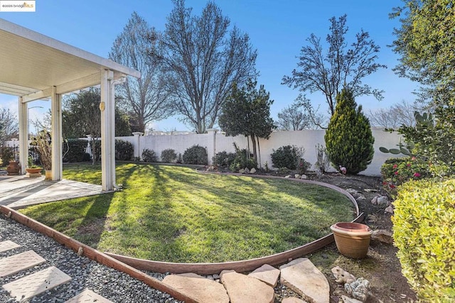 view of yard featuring a patio area