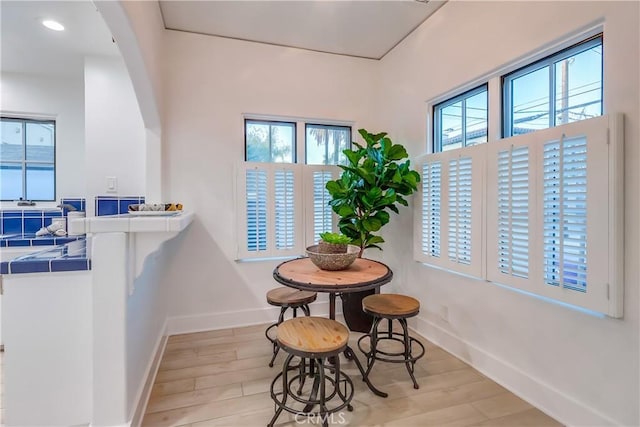 dining area with light hardwood / wood-style flooring