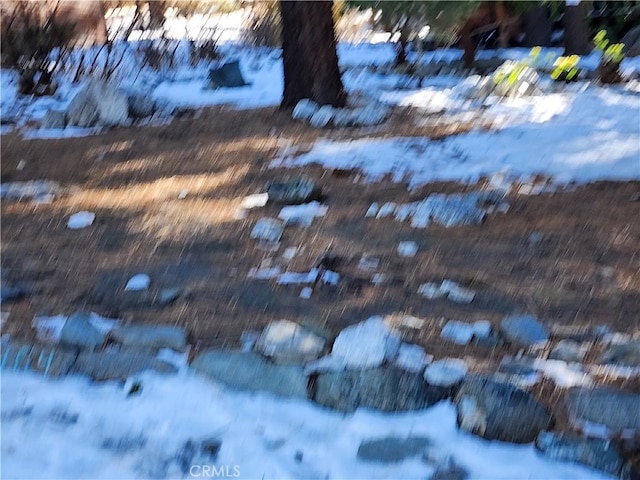 5464 Lone Pine Canyon Rd, Wrightwood, CA 92397 - photo 11