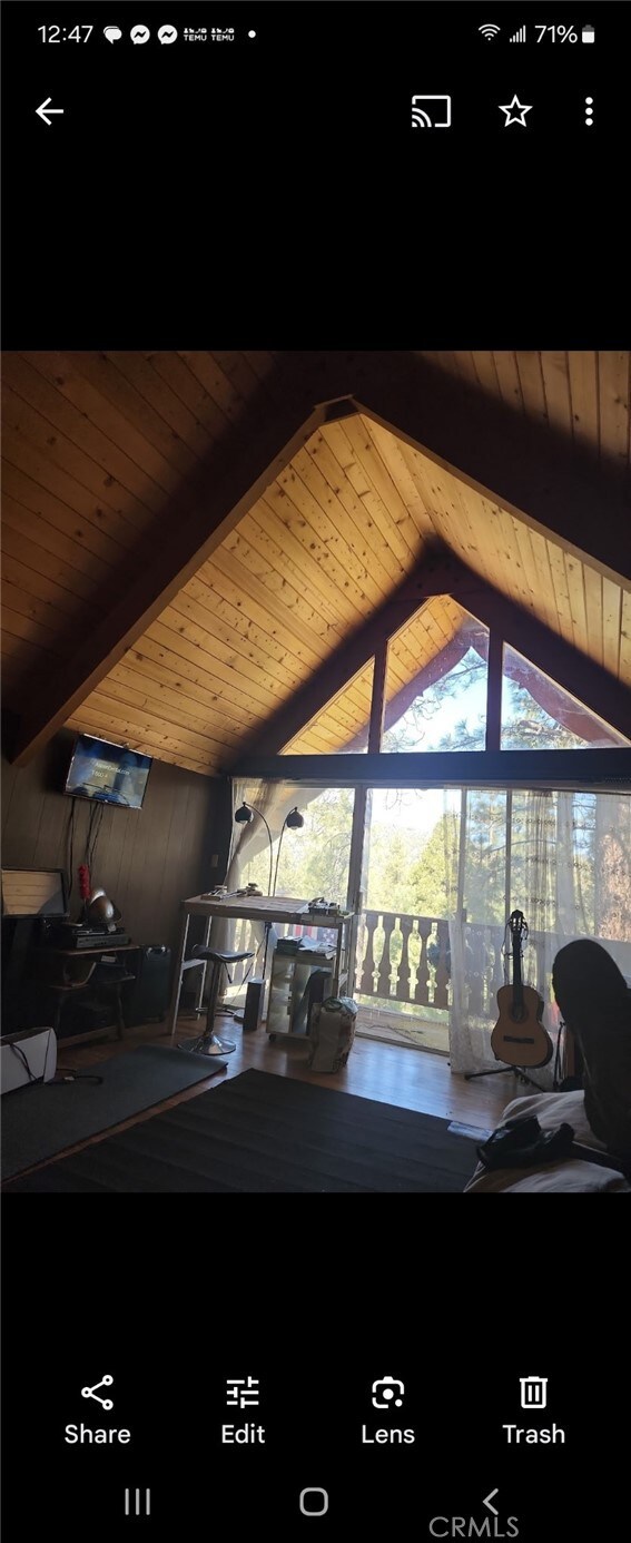 5464 Lone Pine Canyon Rd, Wrightwood, CA 92397 - photo 16