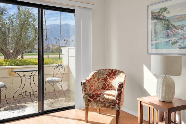 living area featuring a mountain view and light wood-type flooring