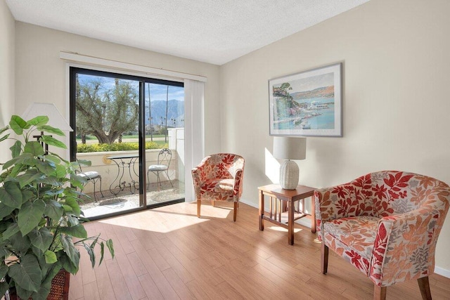 living area featuring a textured ceiling and wood-type flooring