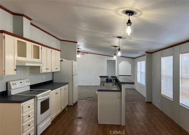 kitchen featuring pendant lighting, white appliances, a textured ceiling, dark wood-type flooring, and ornamental molding