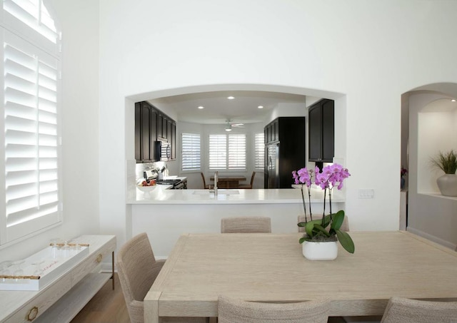 dining room with sink and ceiling fan