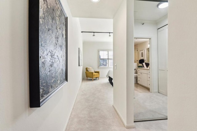 hall featuring rail lighting, light colored carpet, and ornamental molding