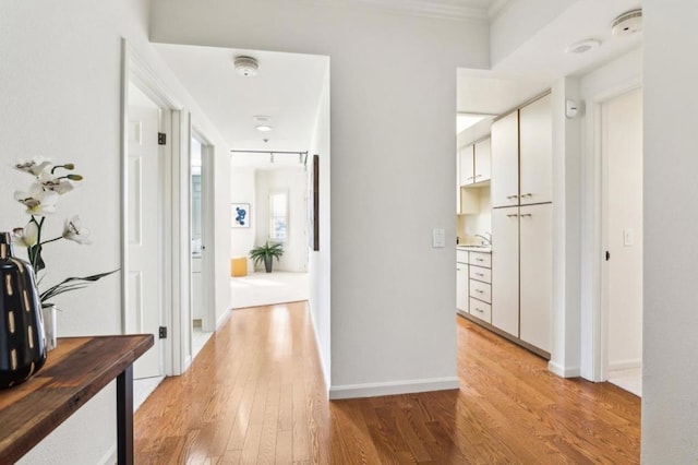 hall featuring light wood-type flooring and ornamental molding